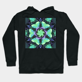 Jeweled Visions 45 Hoodie